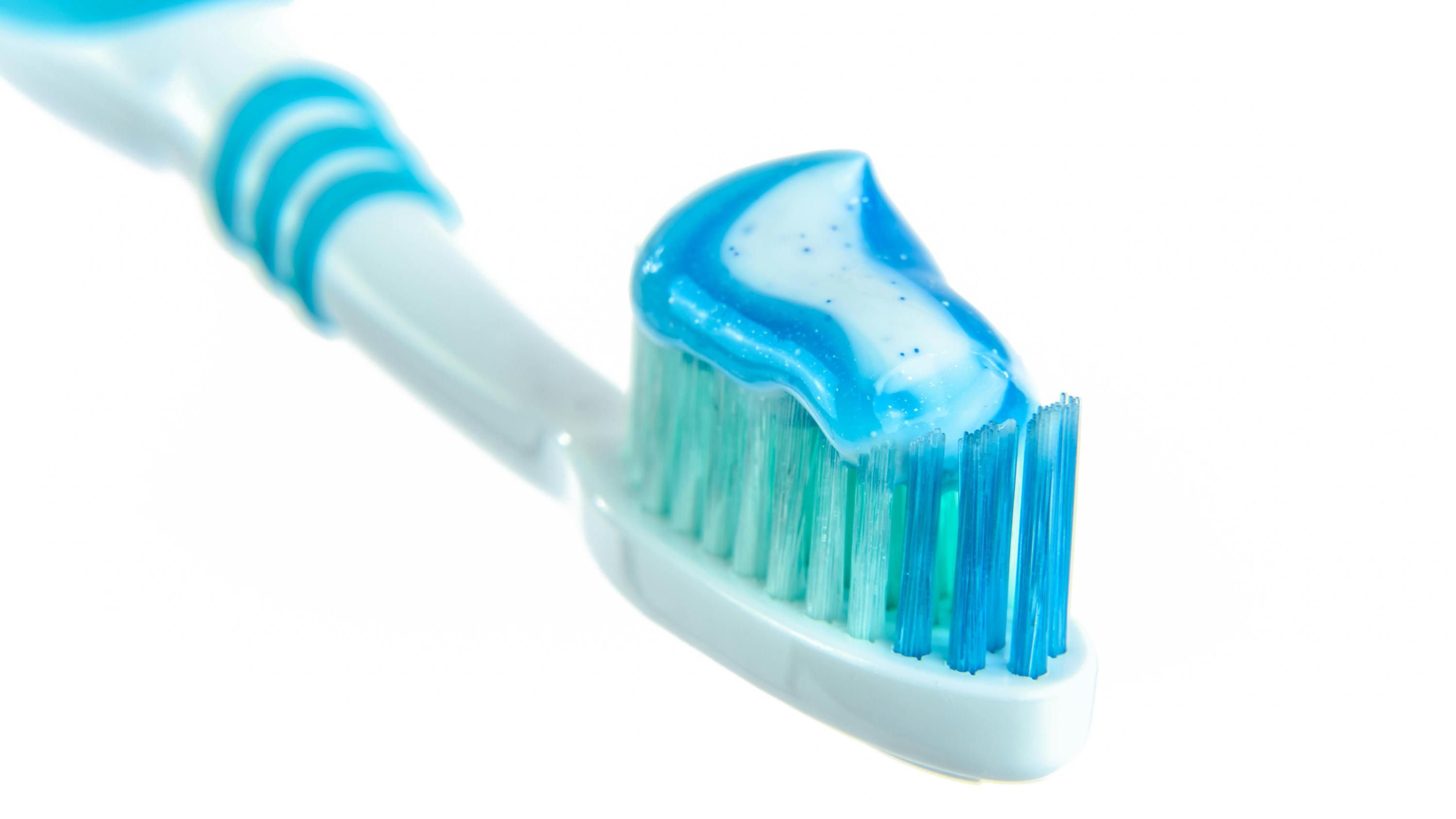 Зубная паста способна вывести муравьев из дома