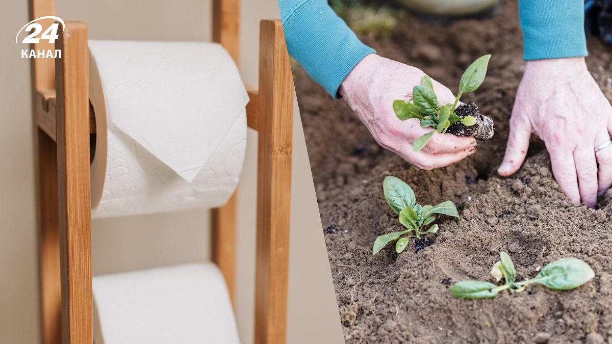 Втулки из-под туалетной бумаги можно использовать