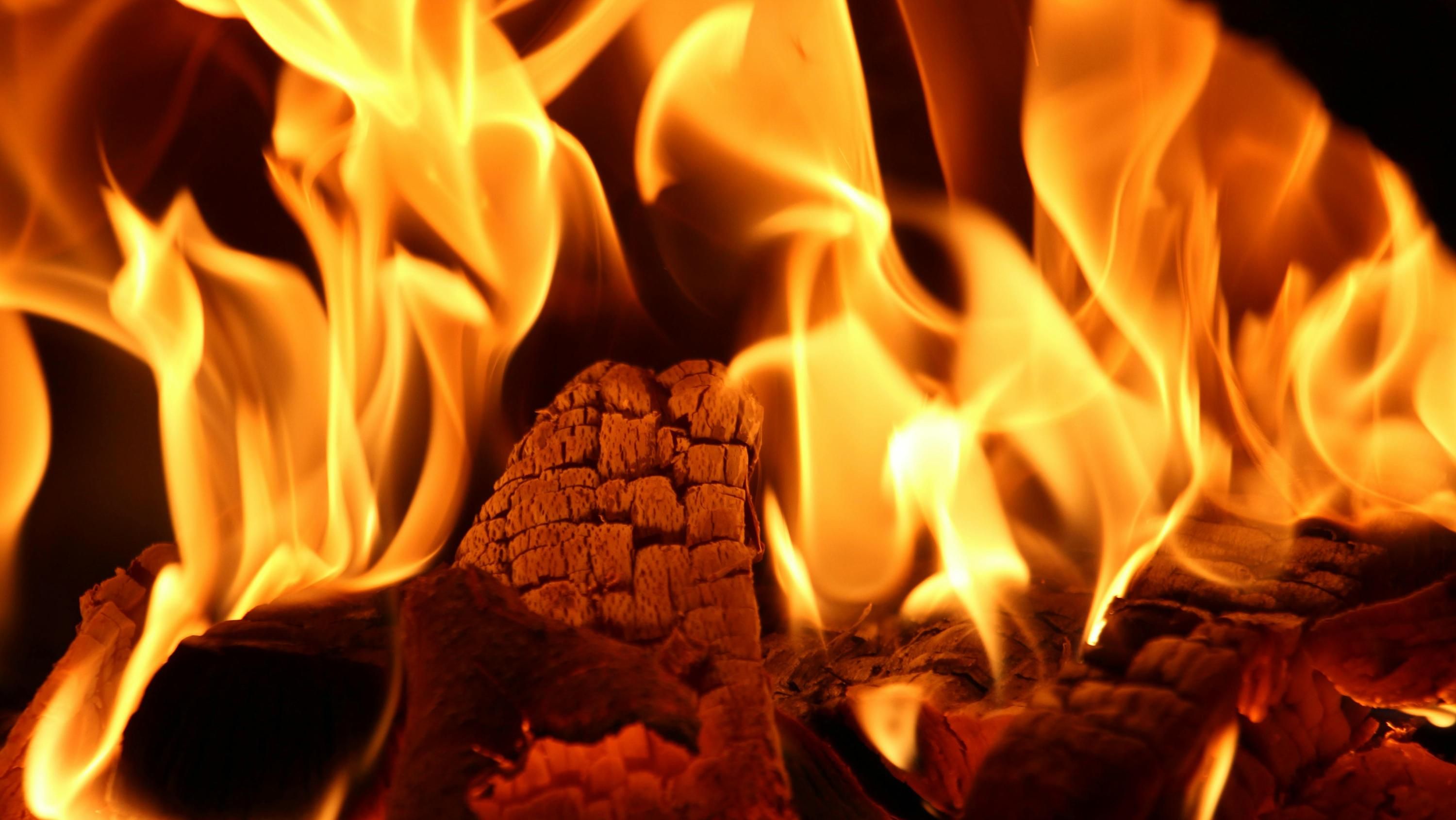 Попіл з каміну може стати в пригоді Попіл з каміну може стати в пригоді