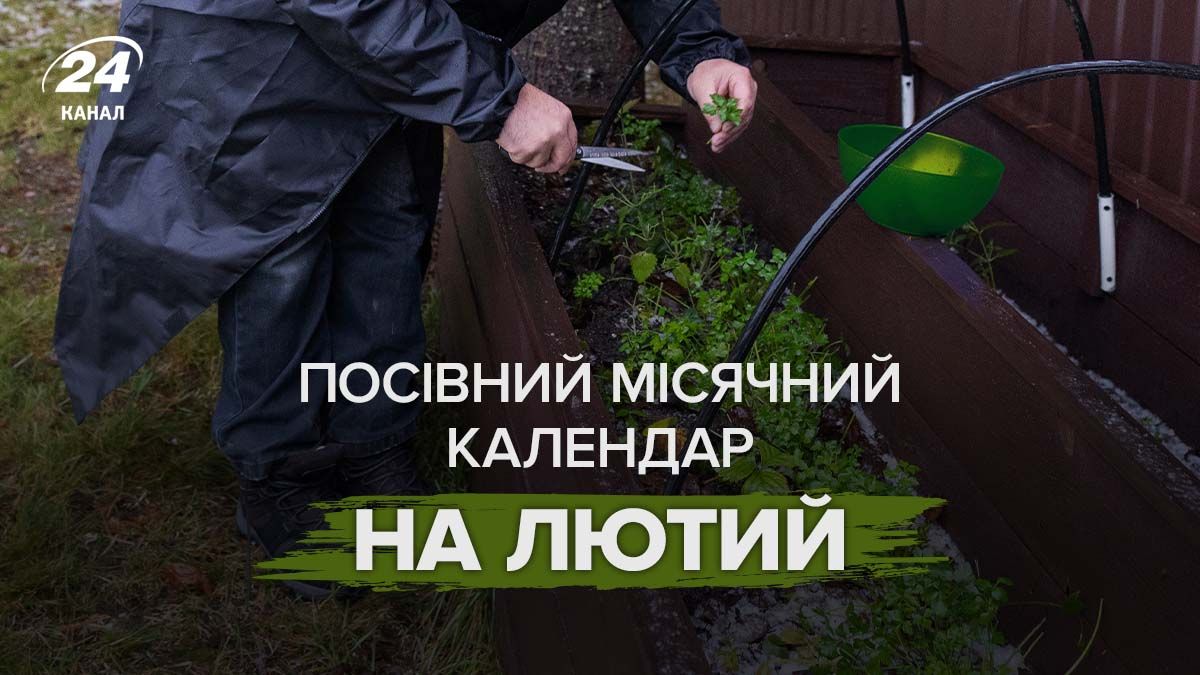 Что и когда сажать в феврале