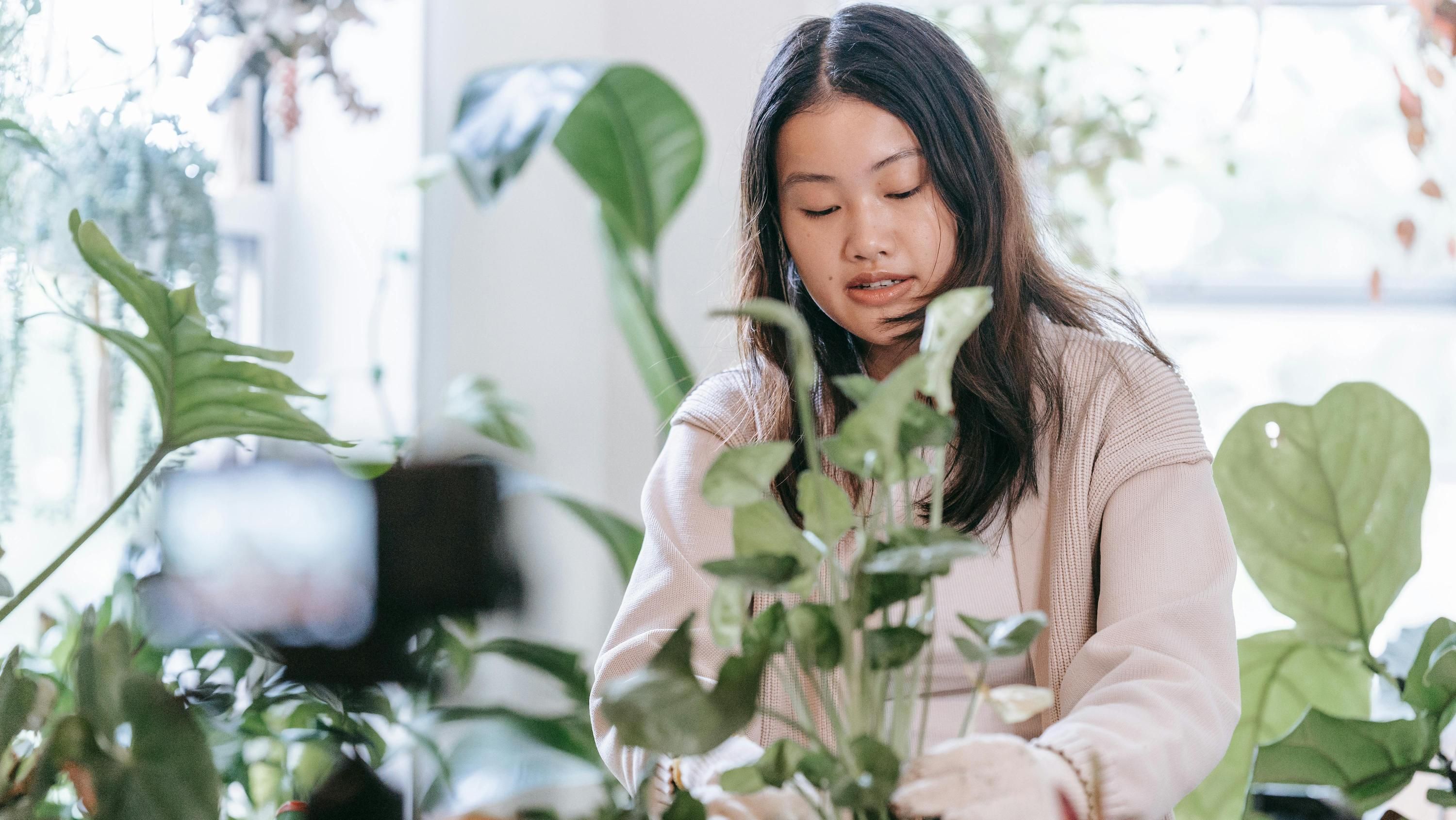 Мучнистую росу легко вывести