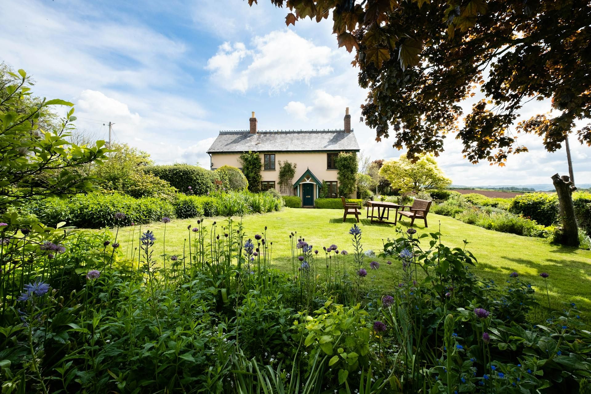 Несколько деревьев почти не нуждаются в уходе Несколько деревьев почти не нуждаются в уходе