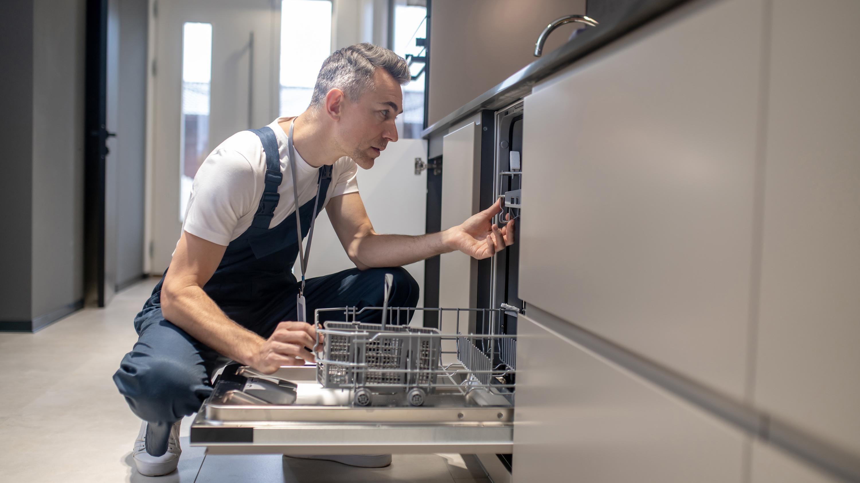 Посудомоечную машину легко очистить Посудомоечную машину легко очистить