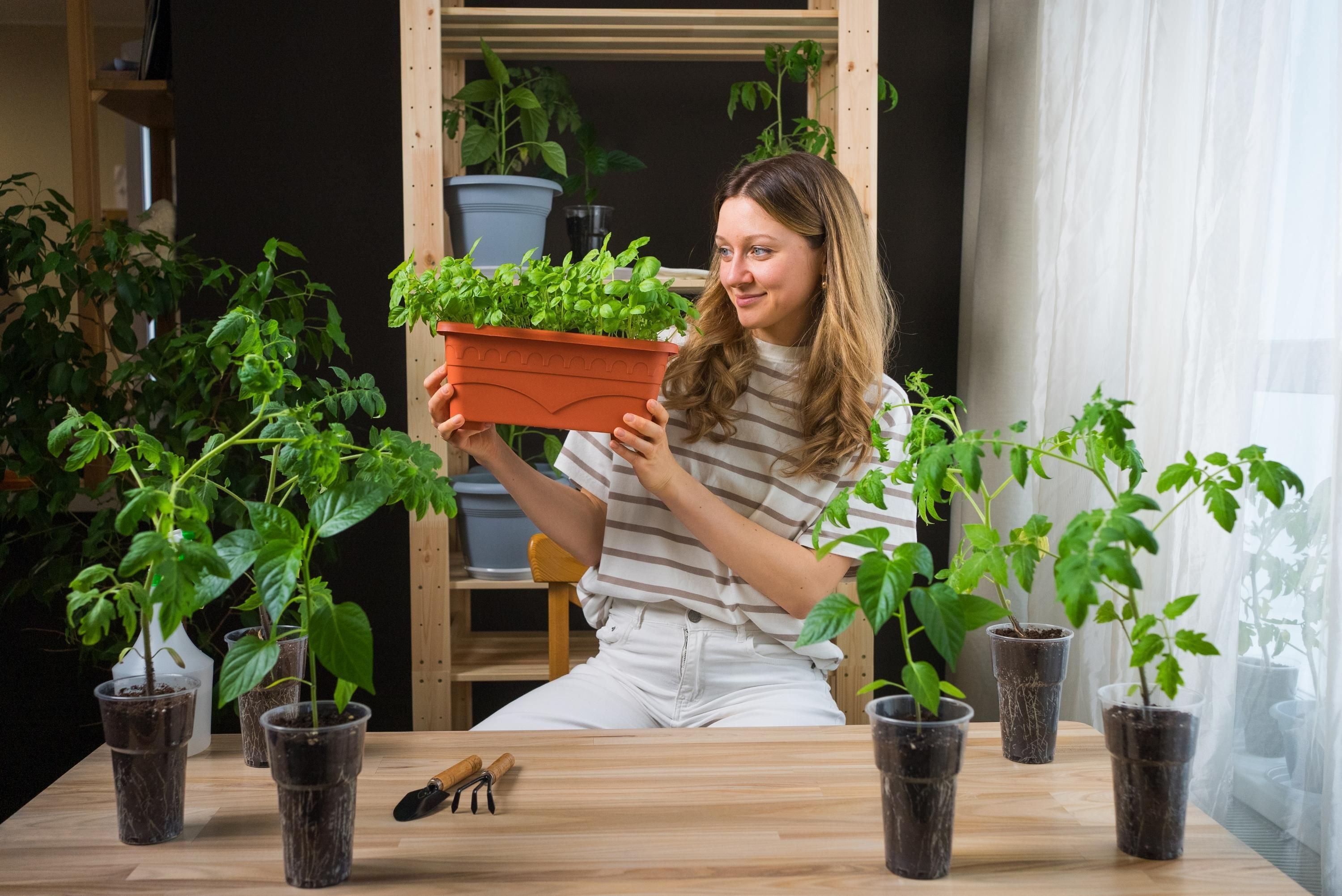 Родзсад можно сажать уже в феврале