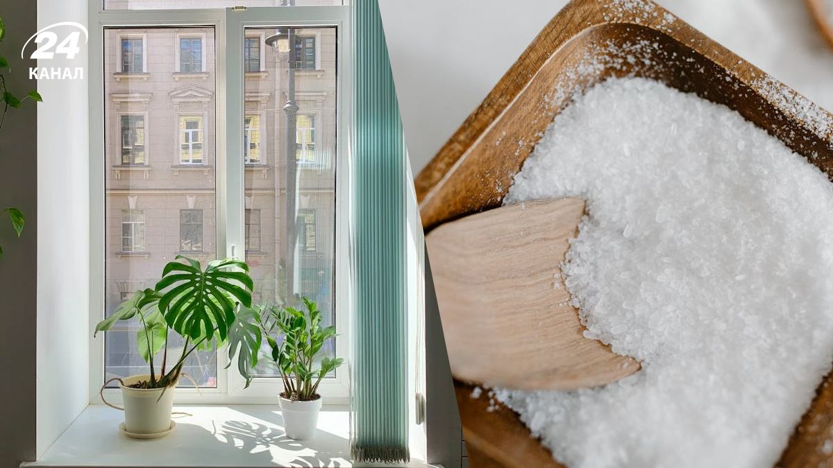 Соль помогает бороться с конденсатом Соль помогает бороться с конденсатом