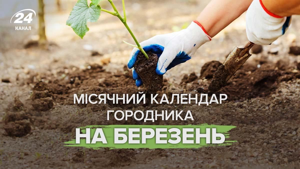 Самые лучшие дни для посадок в марте