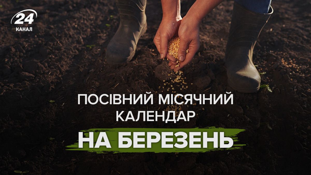 Что делать с садом в марте Что делать с садом в марте