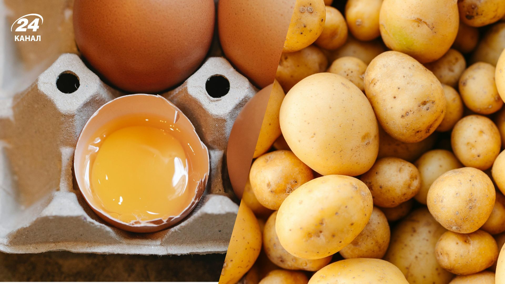 Коробки из-под яиц пригодятся для выращивания картофеля