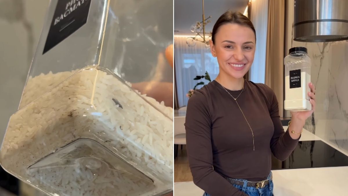 Простые способы отпугивания моли Простые способы отпугивания моли