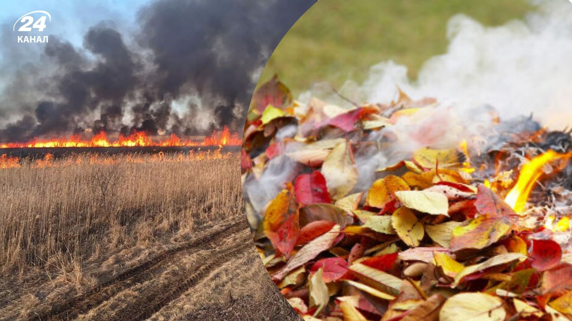 Сжигать траву не стоит