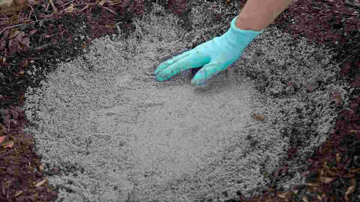 Древесная зола может вредить некоторым растениям