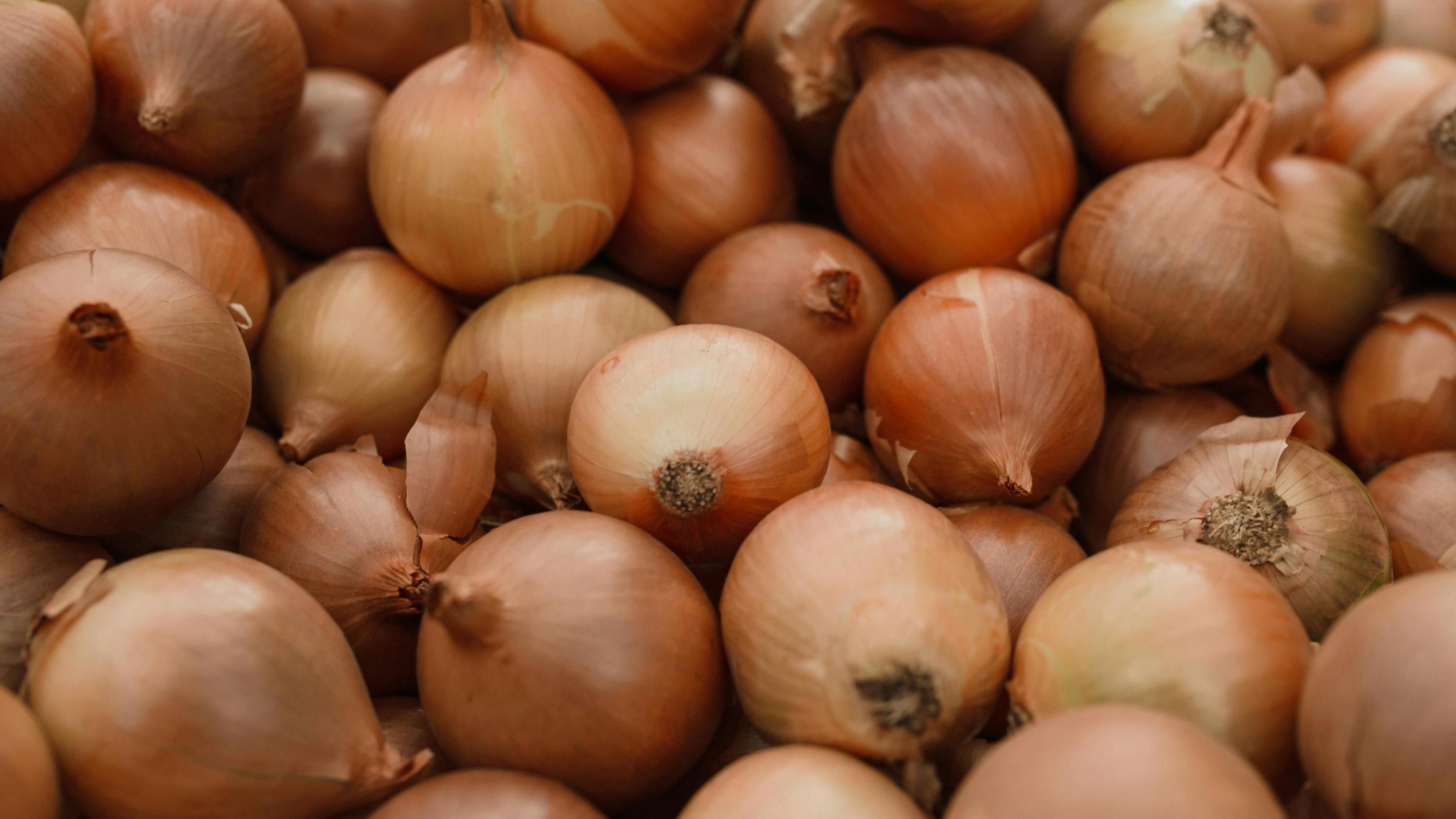 Самая лучшая подкормка для лука Самая лучшая подкормка для лука