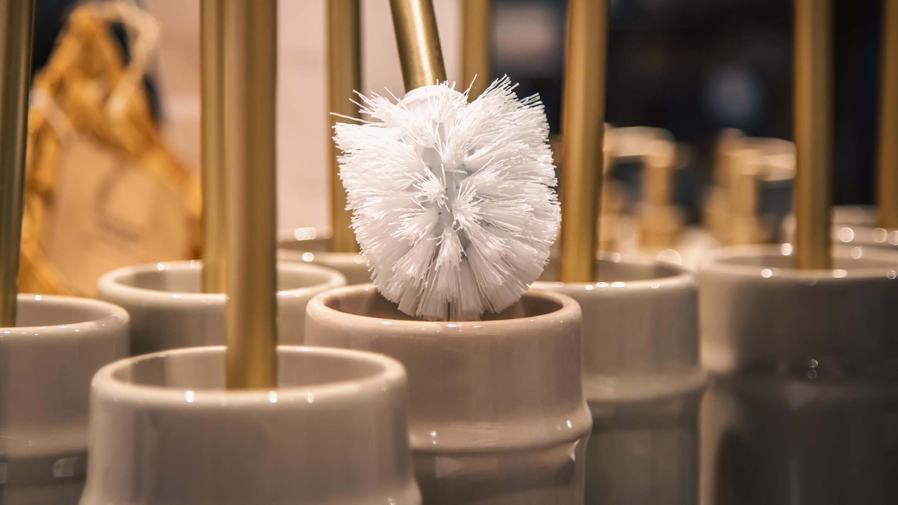 Ершик для туалета уже можно не использовать Ершик для туалета уже можно не использовать