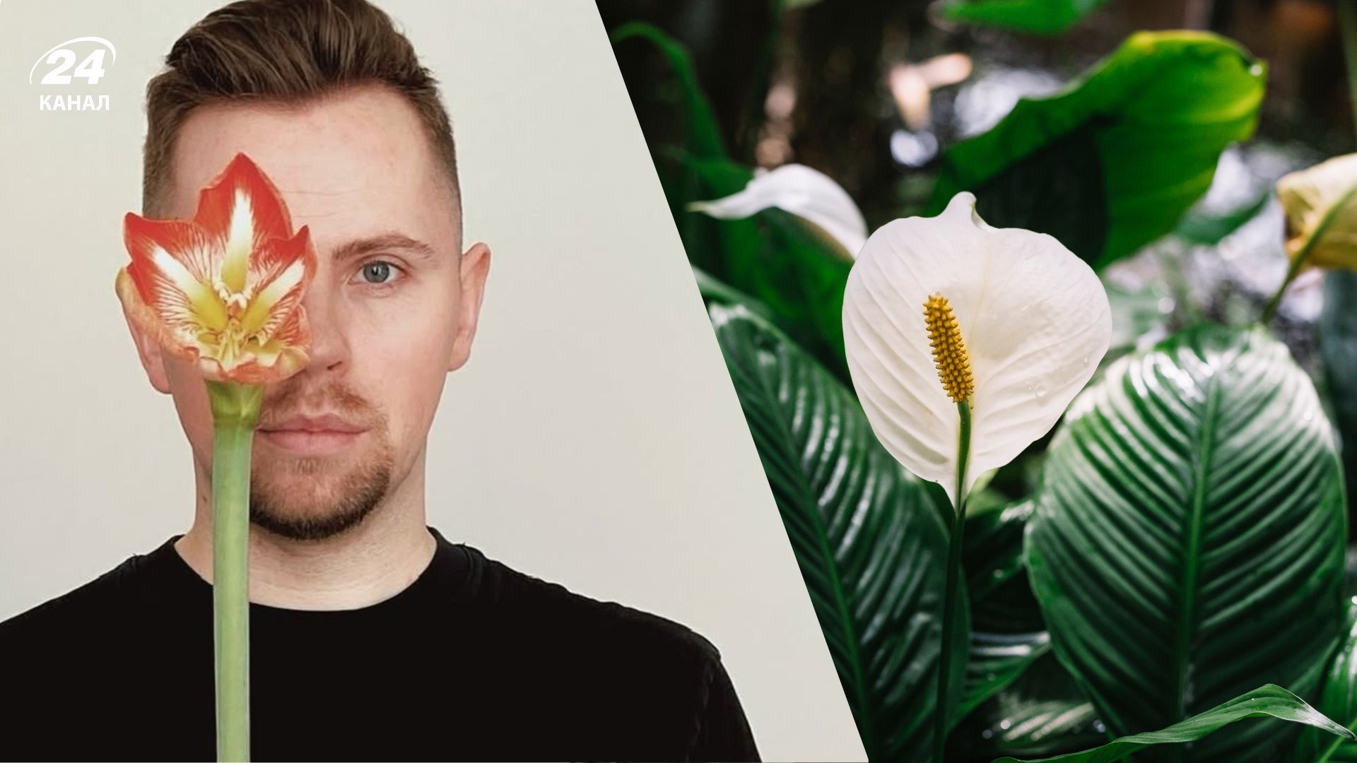 Навіть у маленьких квартирах можна вирощувати рослини