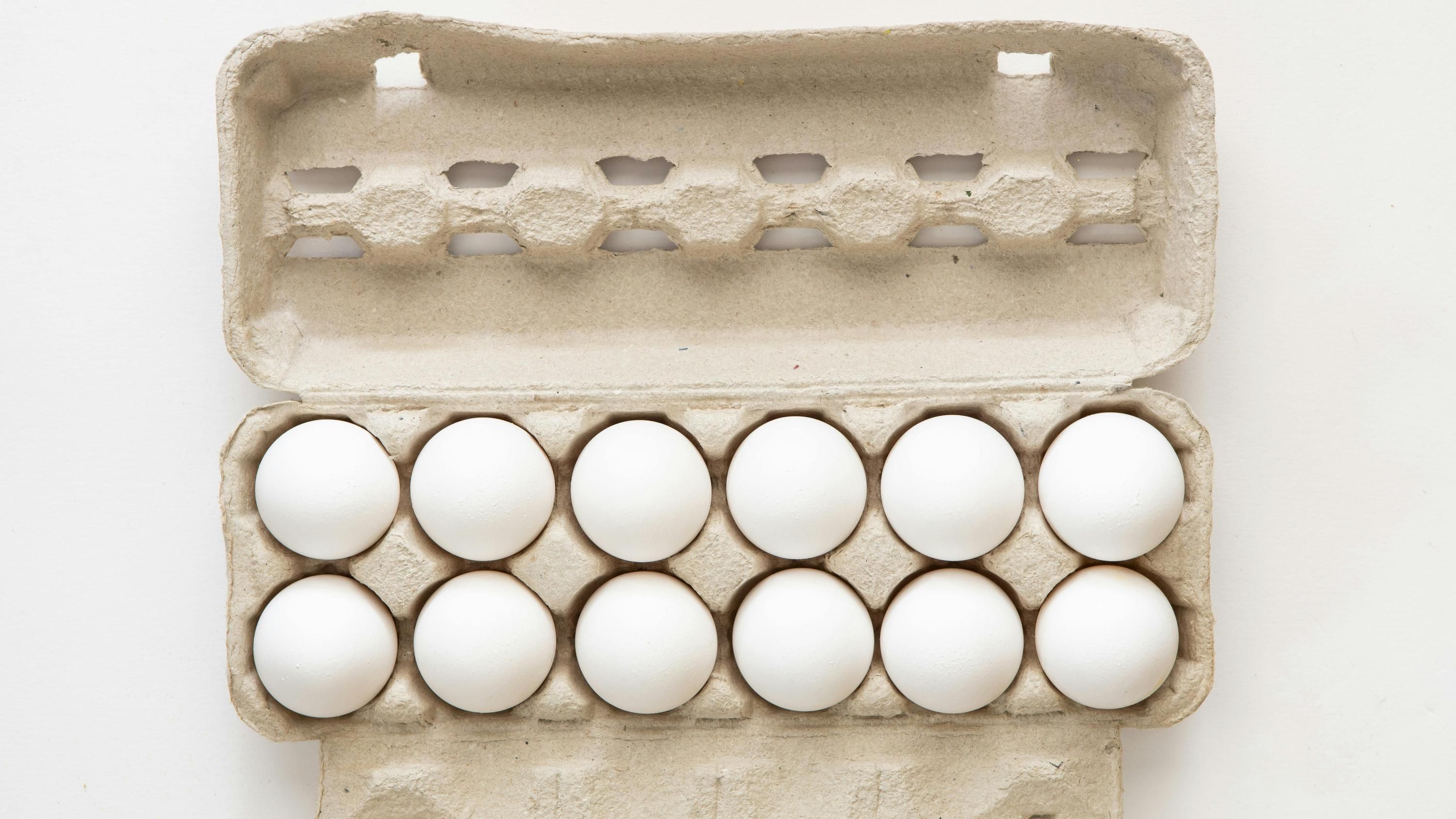 Картонні коробки підходять для посадки рослин Картонні коробки підходять для посадки рослин