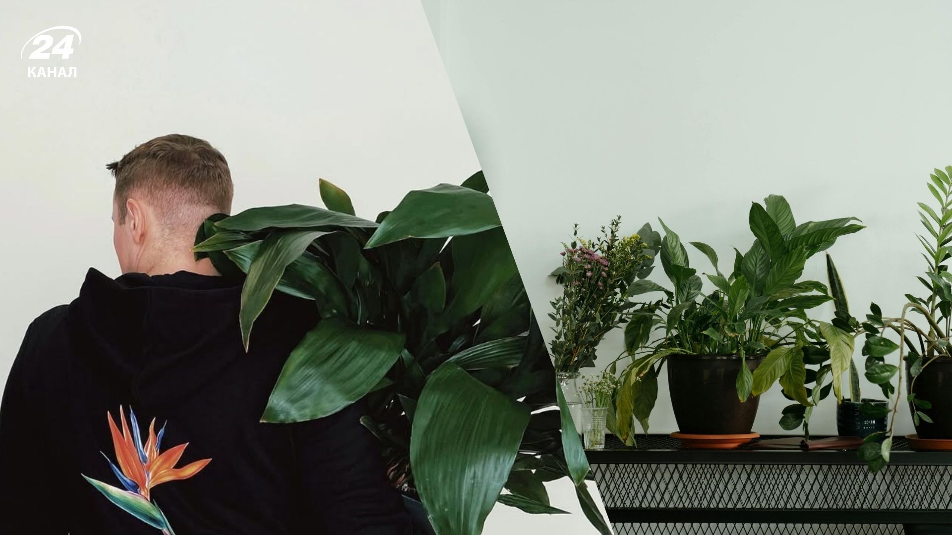 Названа причина увядания растений