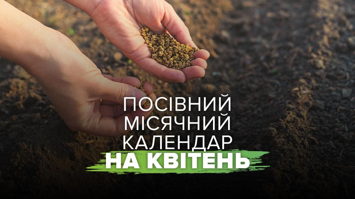 Посівний календар на квітень 2026 Посівний календар на квітень 2026