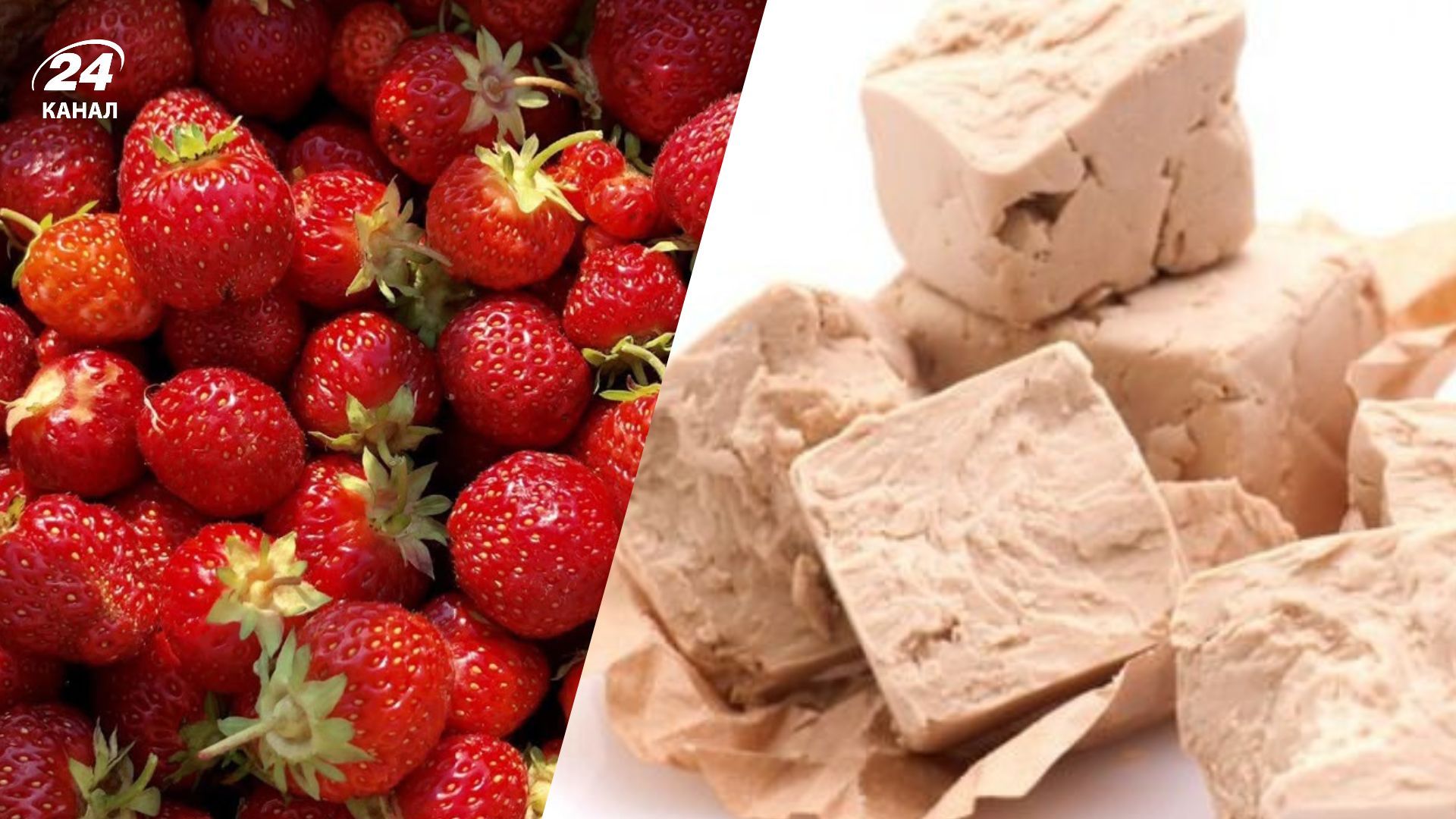 Лучшее удобрение для клубники