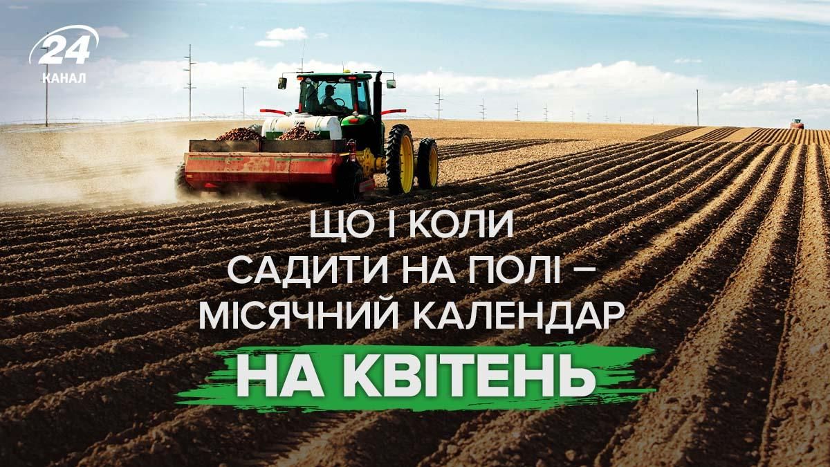 Місячний посівний календар, квітень 2026 - що можна садити в полі Місячний посівний календар, квітень 2026 - що можна садити в полі
