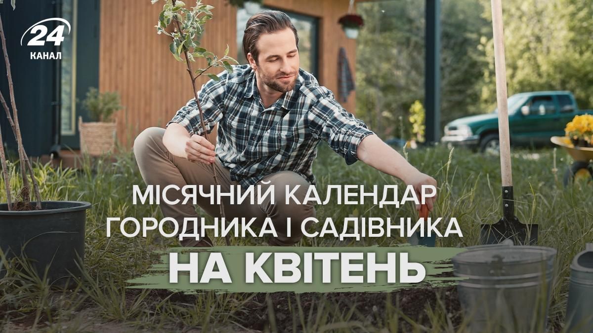 Що треба сіяти у квітні 2026 - місячний календар городника на кожен день Що треба сіяти у квітні 2026 - місячний календар городника на кожен день
