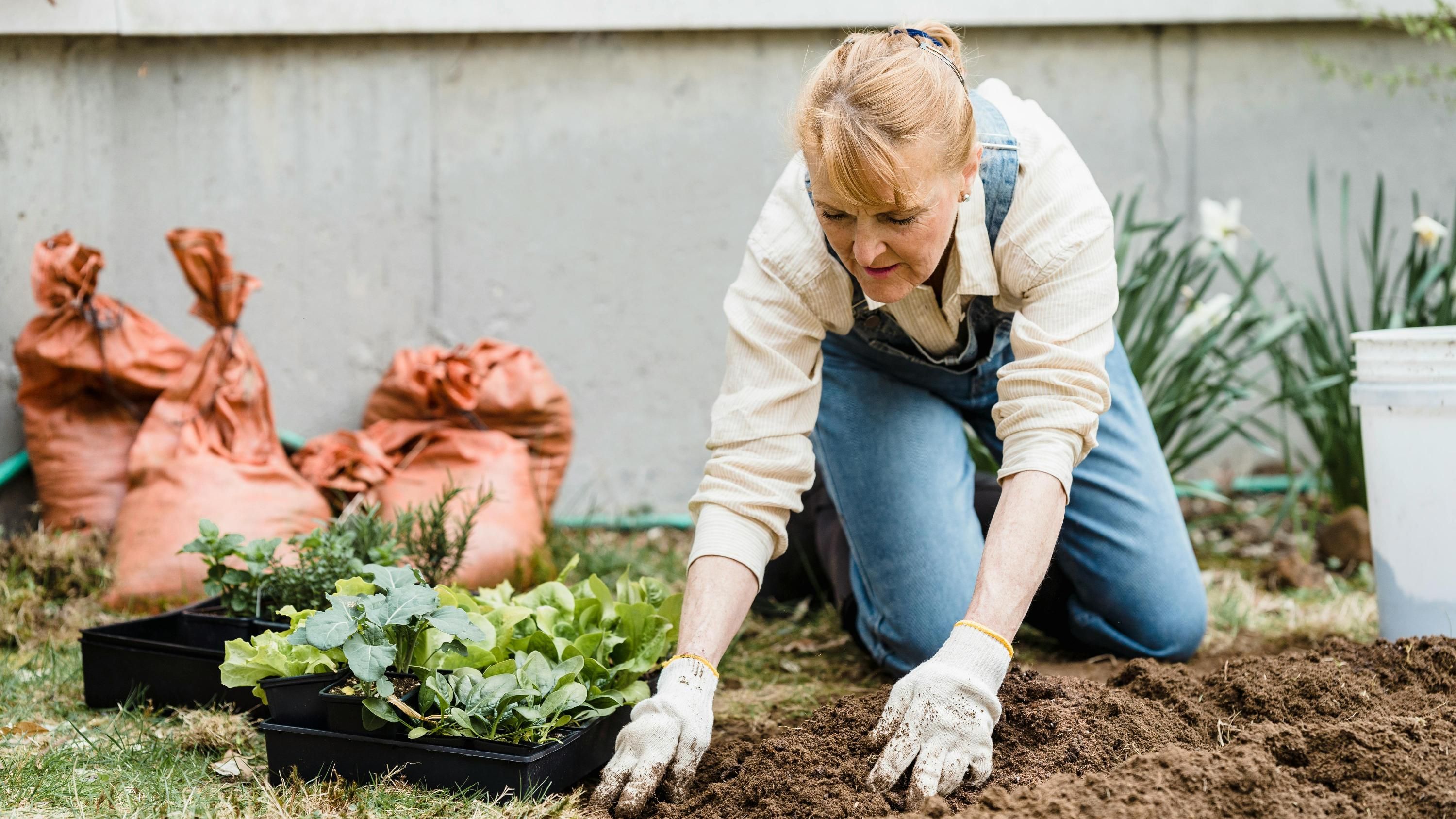 Список овощей, которые можно сажать в апреле Список овощей, которые можно сажать в апреле