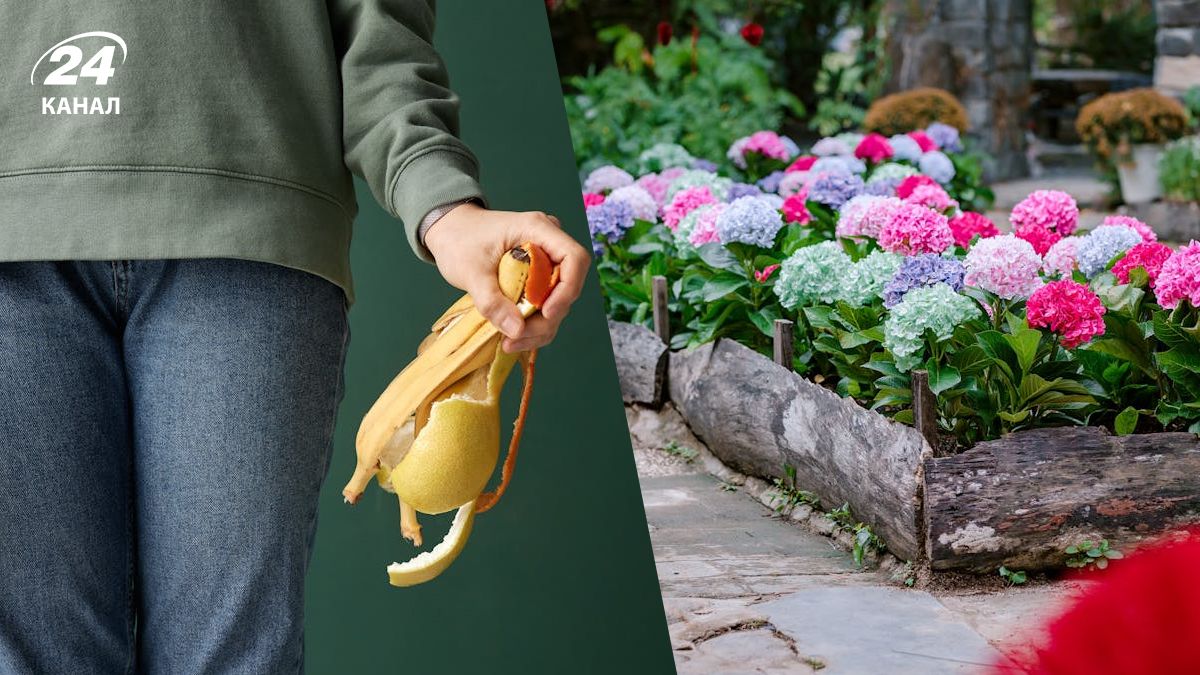 В саду мусор можно использовать как удобрение в качестве удобрения В саду мусор можно использовать как удобрение в качестве удобрения