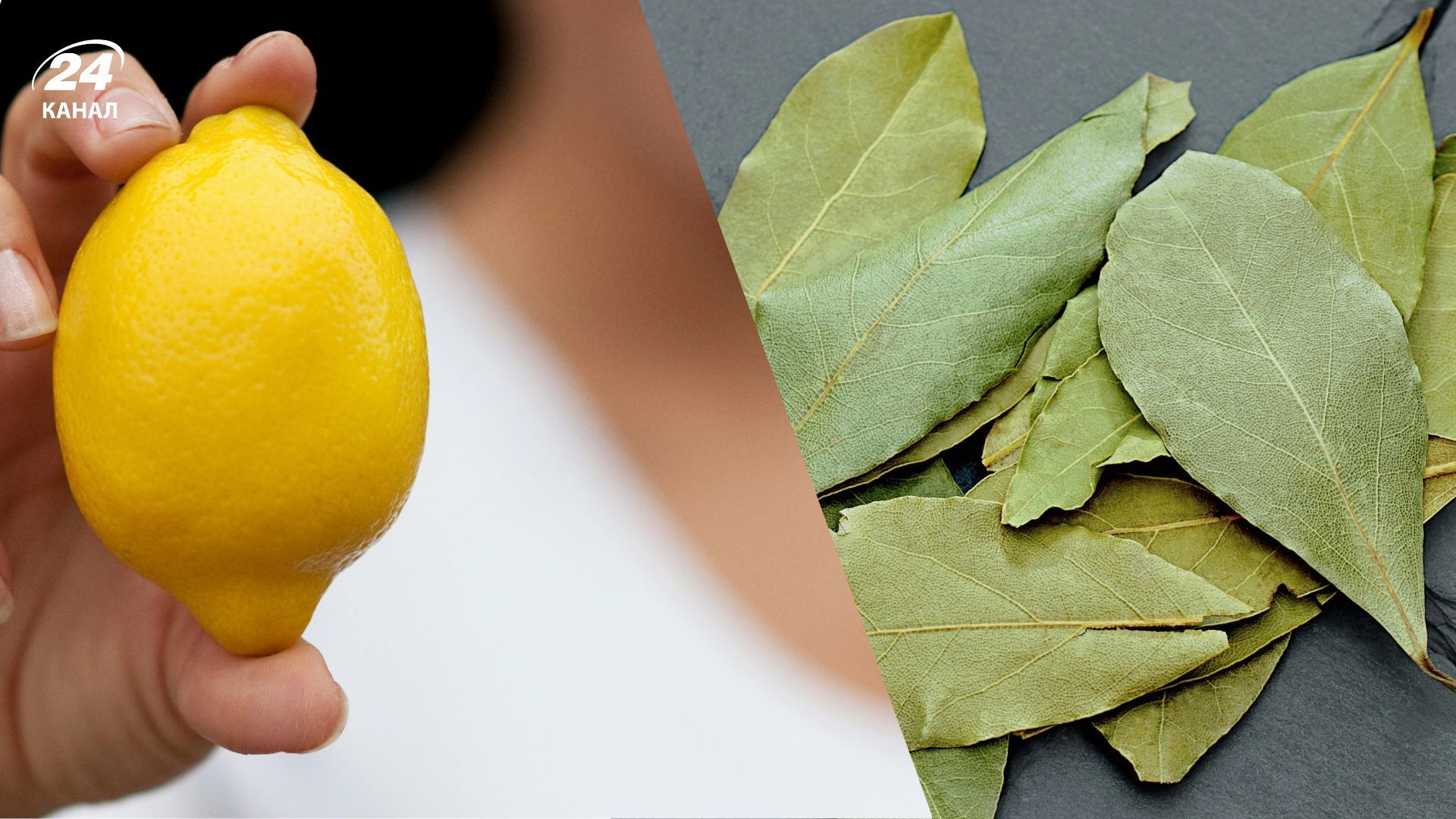 Лимон поєднують з лавровим листком
