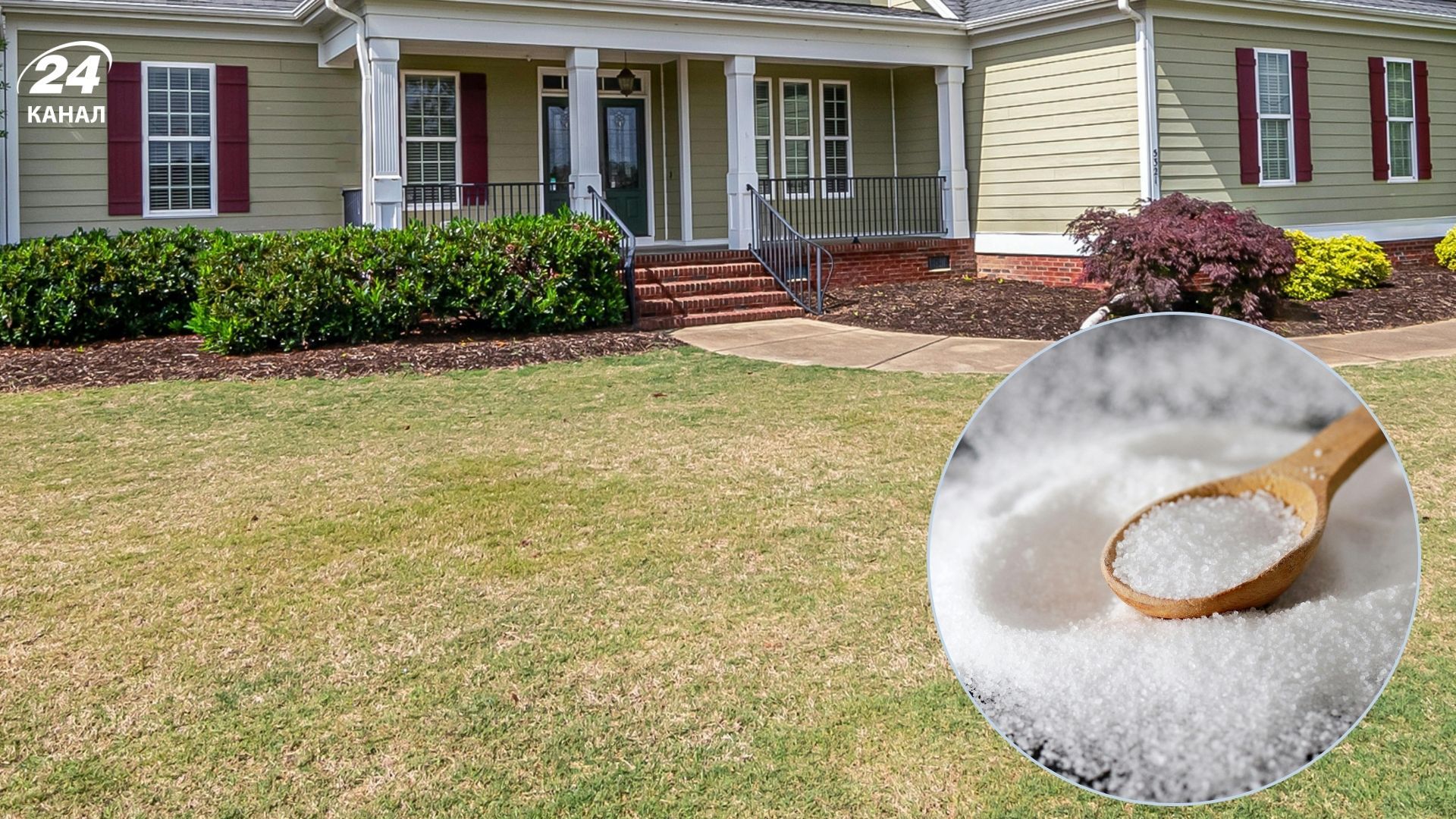 Дачники розповіли про лайфхак з цукром для газону