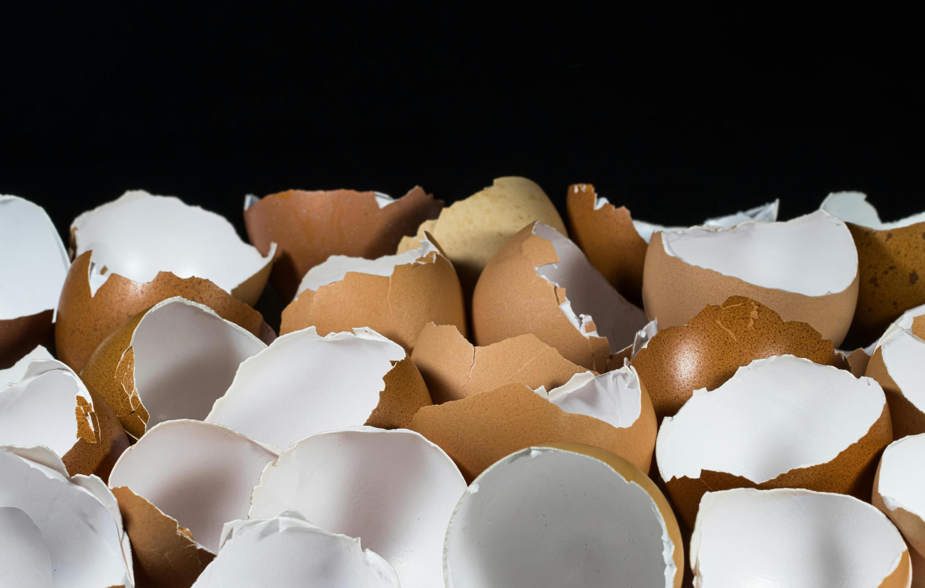 Яичная скорлупа полезна для растений Яичная скорлупа полезна для растений