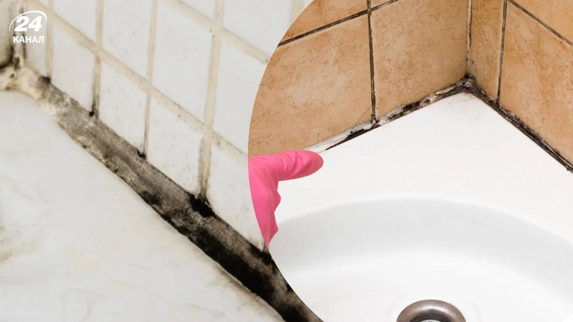 Вивести плісняву досить просто