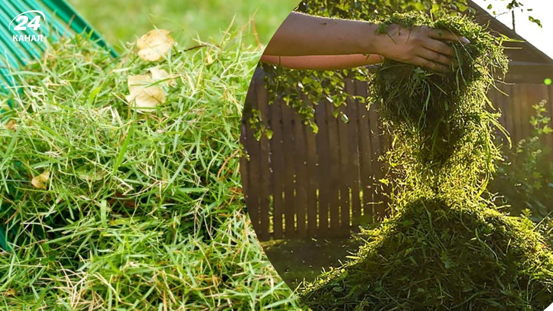 Польза скошенной травы Польза скошенной травы