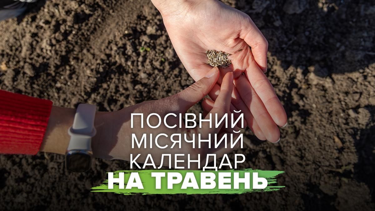 Посівний календар на травень 2026