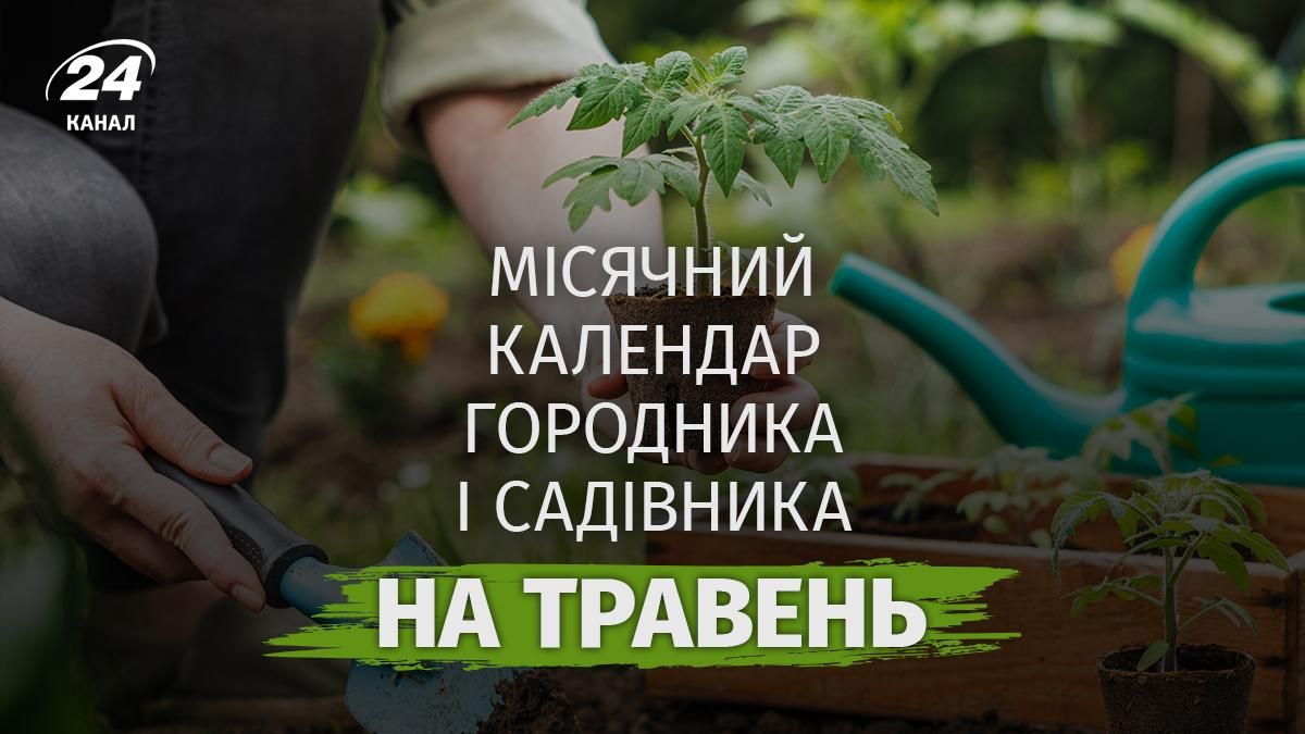 Місячний посівний календар городника на травень 2026 - активні дні для росту Місячний посівний календар городника на травень 2026 - активні дні для росту