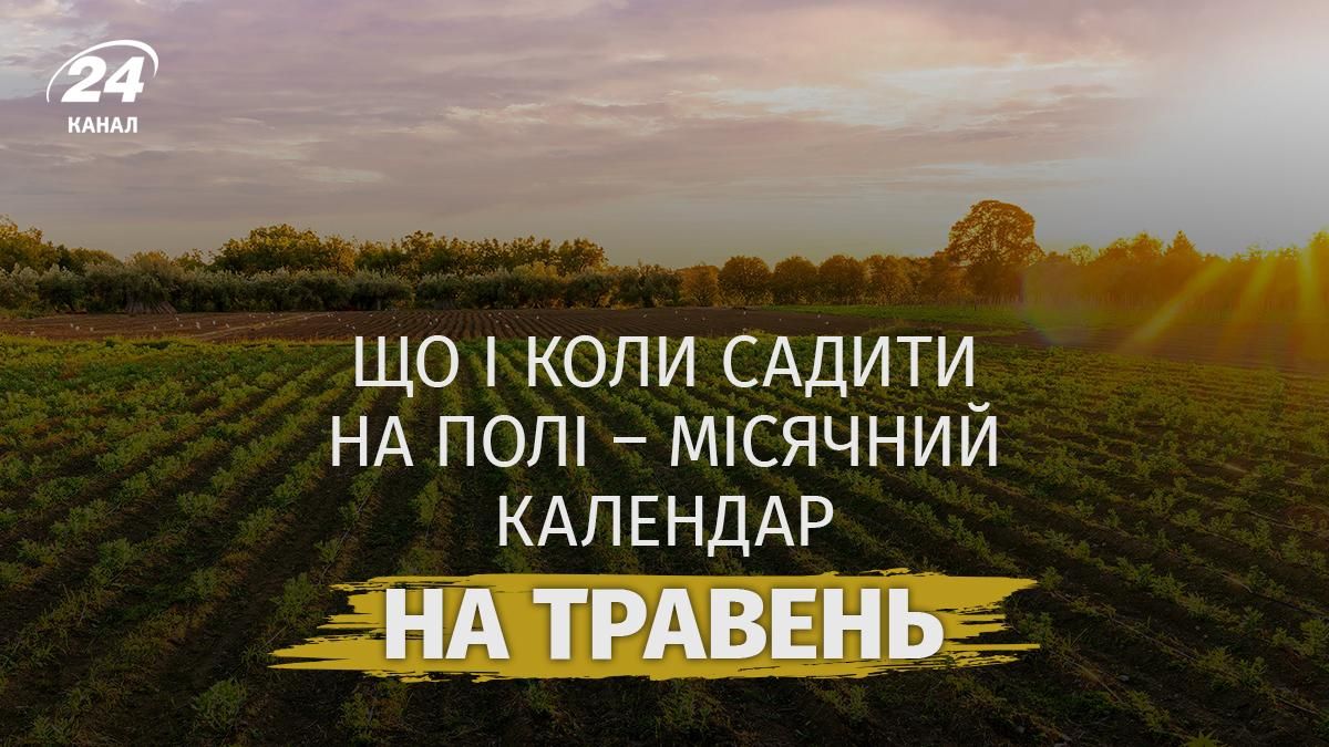 Посівний місячний календар на травень 2026